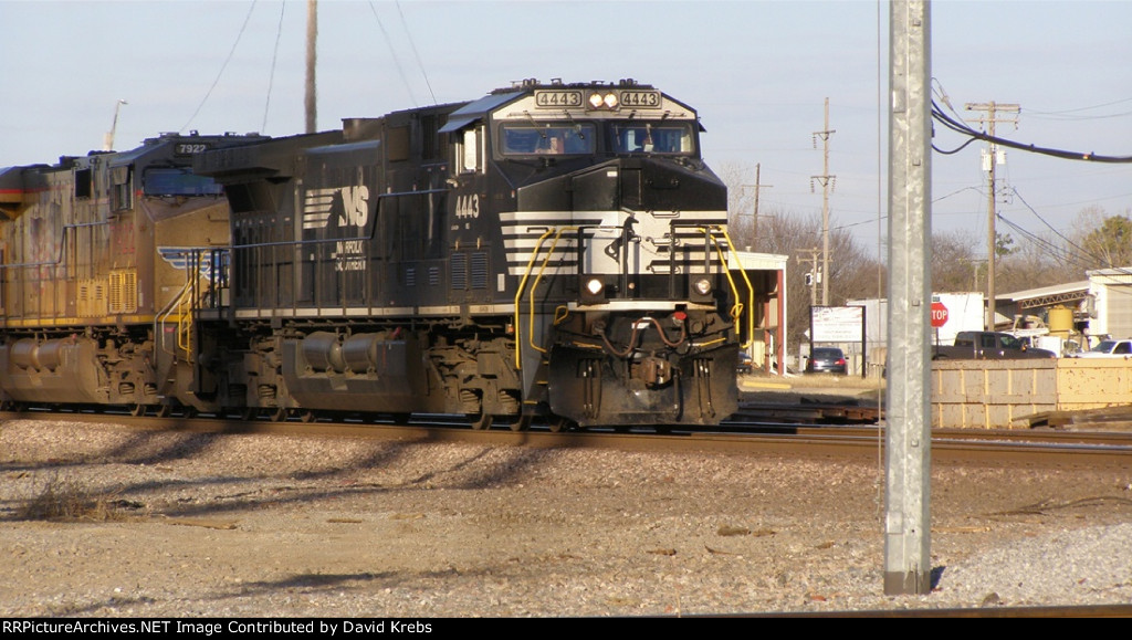 NS 4443